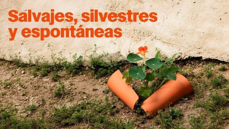 Salvajes, silvestres y espontáneas: el festival verde de Madrid