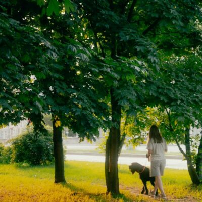 Woman walking a dog on a sunny park path
