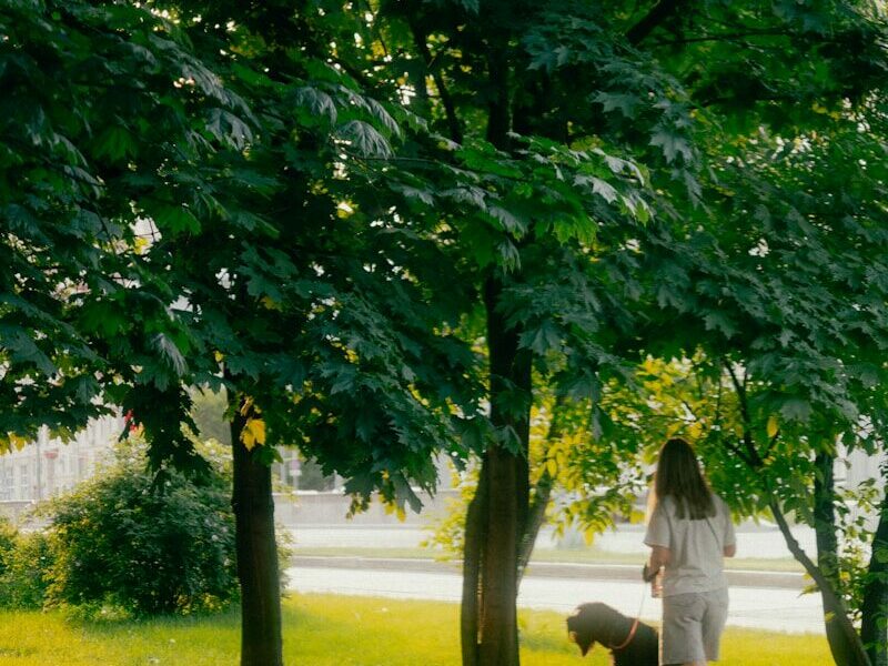 Woman walking a dog on a sunny park path