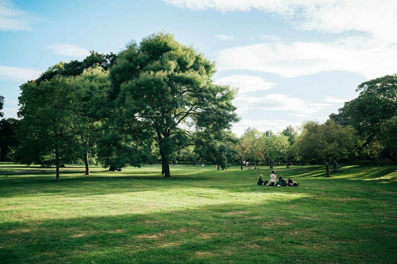 Parque con árboles grandes y personas haciendo picnic en el césped