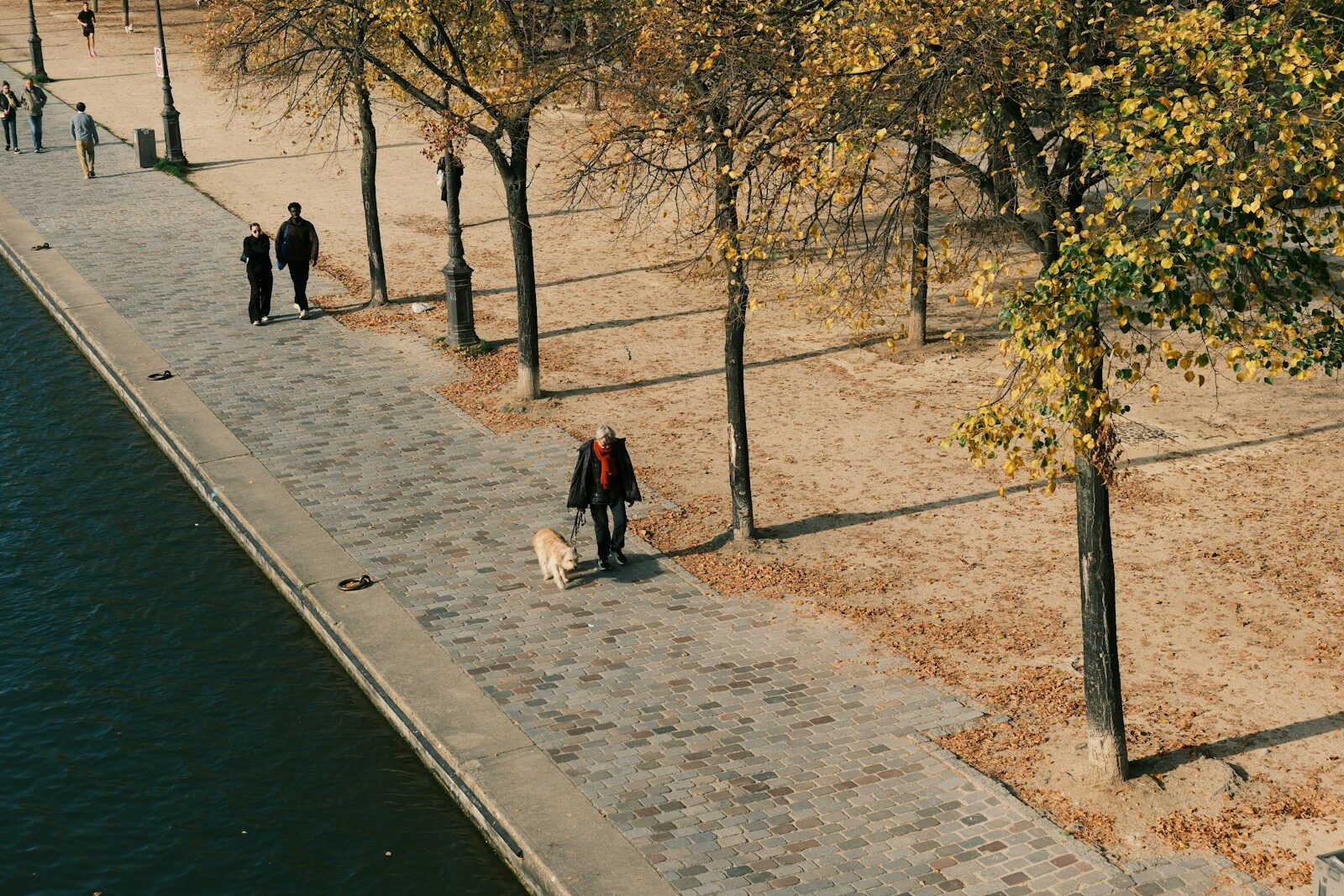 Varias personas paseando perros por un sendero arbolado en Madrid