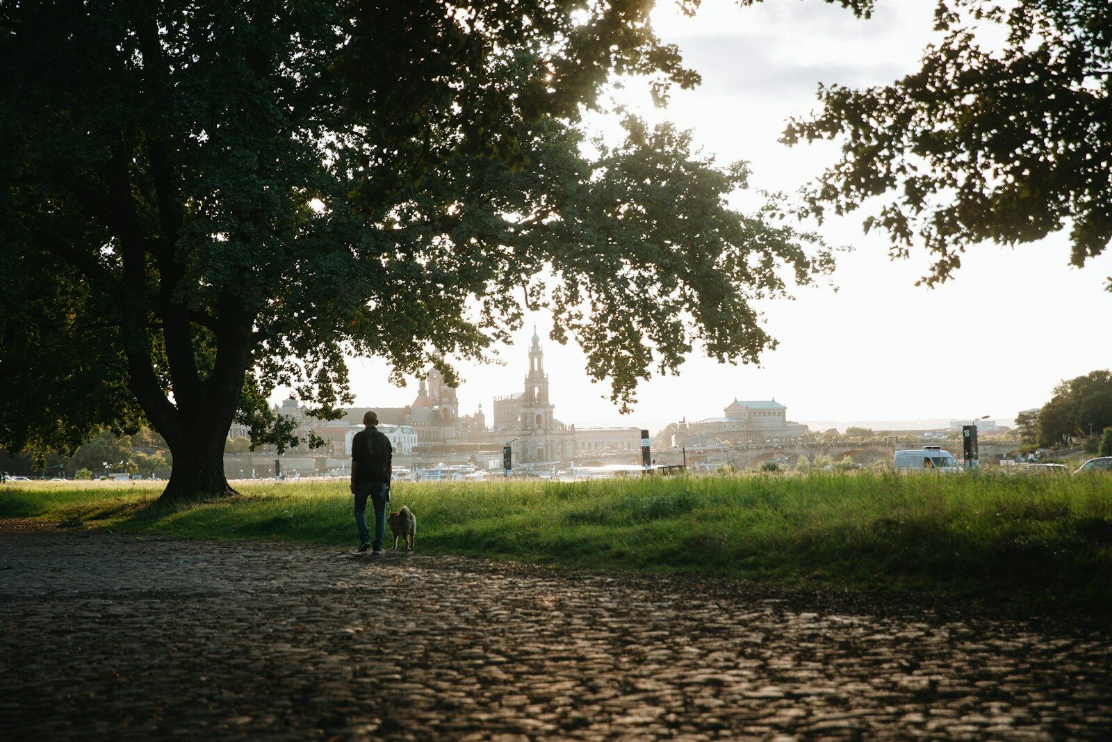 Persona paseando un perro por un parque de Madrid con el skyline al fondo