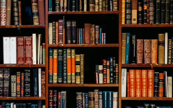 Estanterías de una librería con encanto en Madrid